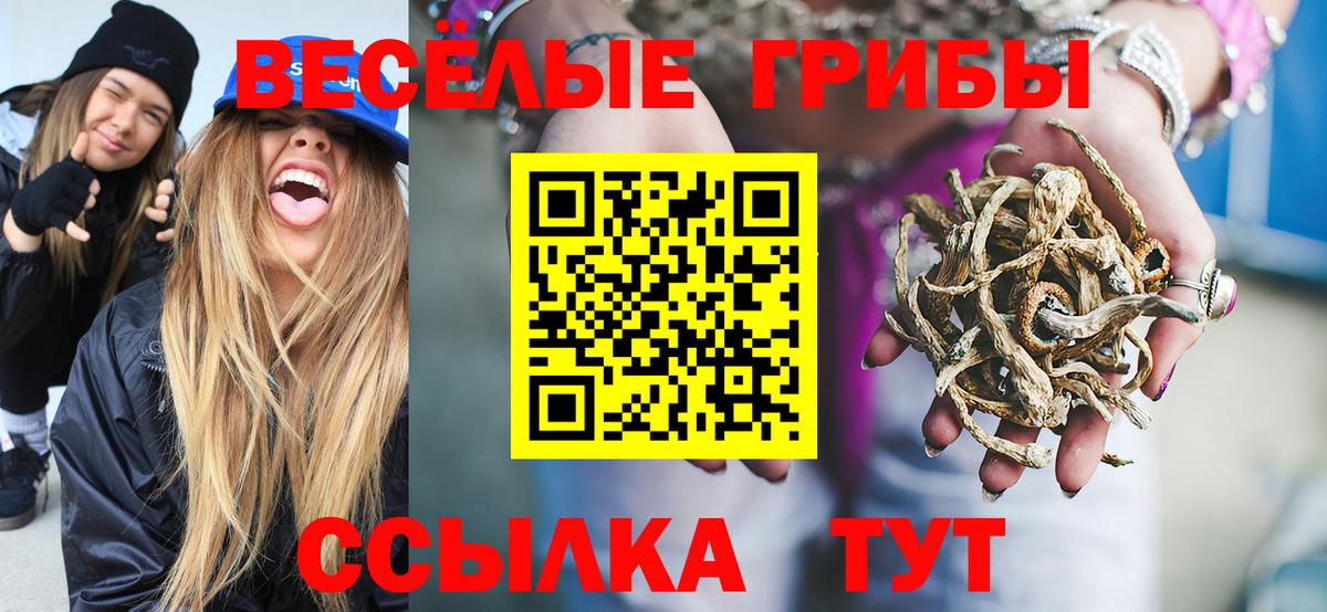 Гусь-Хрустальный  Псилоцибиновые грибы GOLDEN TEACHER  Вход с VPN 